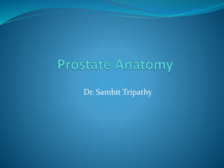 Dr. Sambit Tripathy
 