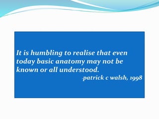 It is humbling to realise that even
today basic anatomy may not be
known or all understood.
-patrick c walsh, 1998
 