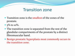 Transition zone
 Transition zone is the smallest of the zones of the
prostate.
 5% to 10%.
 The transition zone is separated from the rest of the
glandular compartments of the prostate by a distinct
fibromuscular band.
 Benign prostatic hyperplasia most commonly occurs in
the transition zone.
 