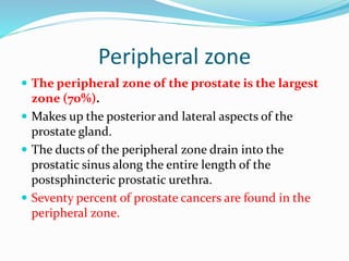 Peripheral zone
 The peripheral zone of the prostate is the largest
zone (70%).
 Makes up the posterior and lateral aspects of the
prostate gland.
 The ducts of the peripheral zone drain into the
prostatic sinus along the entire length of the
postsphincteric prostatic urethra.
 Seventy percent of prostate cancers are found in the
peripheral zone.
 