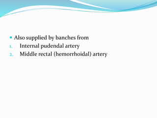  Also supplied by banches from
1. Internal pudendal artery
2. Middle rectal (hemorrhoidal) artery
 