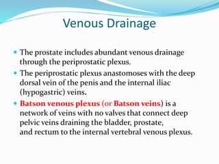 Venous Drainage
 The prostate includes abundant venous drainage
through the periprostatic plexus.
 The periprostatic plexus anastomoses with the deep
dorsal vein of the penis and the internal iliac
(hypogastric) veins.
 Batson venous plexus (or Batson veins) is a
network of veins with no valves that connect deep
pelvic veins draining the bladder, prostate,
and rectum to the internal vertebral venous plexus.
 