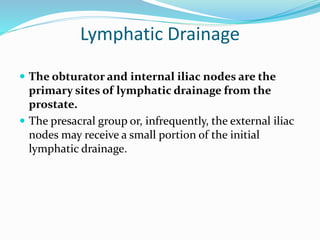 Lymphatic Drainage
 The obturator and internal iliac nodes are the
primary sites of lymphatic drainage from the
prostate.
 The presacral group or, infrequently, the external iliac
nodes may receive a small portion of the initial
lymphatic drainage.
 