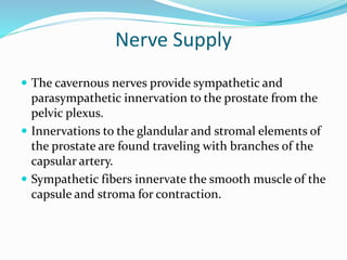 Nerve Supply
 The cavernous nerves provide sympathetic and
parasympathetic innervation to the prostate from the
pelvic plexus.
 Innervations to the glandular and stromal elements of
the prostate are found traveling with branches of the
capsular artery.
 Sympathetic fibers innervate the smooth muscle of the
capsule and stroma for contraction.
 