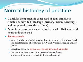 Normal histology of prostate
 Glandular component is composed of acini and ducts,
which is subdivided into large (primary, major, excretory)
and peripheral (secondary, minor)
 Acini & ducts contain secretory cells, basal cells & scattered
neuroendocrine cells
 Secretory cells
 located in the luminal side, contribute to products of seminal fluid,
like Prostatic acid phosphatase (PAP) and Prostate-specific antigen
(PSA)
 Secretory cells also co-express various keratins & vimentin
 Normal secretion is a neutral mucosubstance ( most
adenocarcinomas secrete acidic & neutral mucin)
 