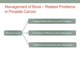 Bone Health in Prostate Cancer Patients. | PPTX