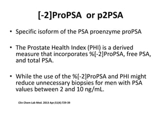 anatomy of Prostate and prostate carcinoma | PPTX