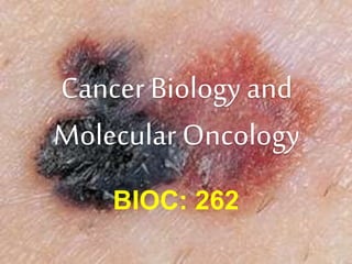 Cancer Biology and
Molecular Oncology
BIOC: 262
 