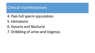 Clinical manifestations
4. Pain full sperm ejaculation
5. Hematuria
6. Dysuria and Nocturia
7. Dribbling of urine and Urgency
 