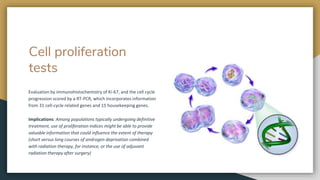 Cell proliferation
tests
Evaluation by immunohistochemistry of Ki-67, and the cell cycle
progression scored by a RT-PCR, which incorporates information
from 31 cell-cycle related genes and 15 housekeeping genes.
Implications: Among populations typically undergoing definitive
treatment, use of proliferation indices might be able to provide
valuable information that could influence the extent of therapy
(short versus long courses of androgen deprivation combined
with radiation therapy, for instance, or the use of adjuvant
radiation therapy after surgery)
 