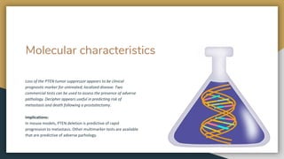 Molecular characteristics
Loss of the PTEN tumor suppressor appears to be clinical
prognostic marker for untreated, localized disease. Two
commercial tests can be used to assess the presence of adverse
pathology. Decipher appears useful in predicting risk of
metastasis and death following a prostatectomy.
Implications:
In mouse models, PTEN deletion is predictive of rapid
progression to metastasis. Other multimarker tests are available
that are predictive of adverse parhology.
 