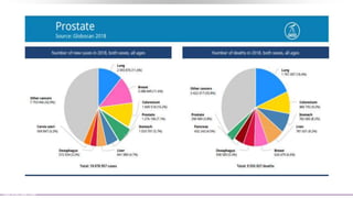 Siegel RL, et al., CA Cancer J Clin 2017;67:7–30. © 2017 American Cancer Society. With permission from
John Wiley and Sons.
 