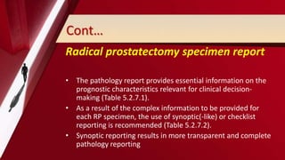 Cont…
Radical prostatectomy specimen report
• The pathology report provides essential information on the
prognostic characteristics relevant for clinical decision-
making (Table 5.2.7.1).
• As a result of the complex information to be provided for
each RP specimen, the use of synoptic(-like) or checklist
reporting is recommended (Table 5.2.7.2).
• Synoptic reporting results in more transparent and complete
pathology reporting
 
