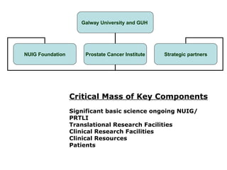 Critical Mass of Key Components Significant basic science ongoing NUIG/ PRTLI Translational Research Facilities Clinical Research Facilities Clinical Resources Patients Galway University and GUH   NUIG Foundation Prostate Cancer   Institute Strategic   partners 