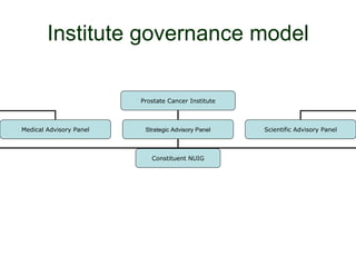 Institute governance model Prostate Cancer Institute Medical Advisory Panel Strategic Advisory Panel Scientific Advisory Panel Constituent NUIG 