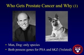 Prostate Cancer Overview