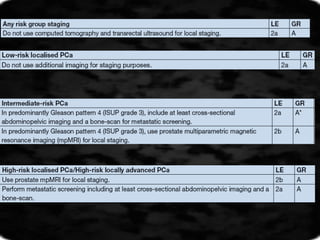 Prost@te Cancer Risk Stratification Prostate cancer Risk stratification final.pptx