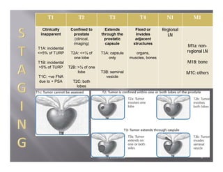 T1                T2                T3               T4            N1          M1

  Clinically       Confined to        Extends           Fixed or      Regional
 inapparent         prostate        through the         invades         LN
                     (clinical,       prostatic         adjacent
                    imaging)          capsule          structures
                                                                                  M1a: non-
T1A: incidental
<=5% of TURP       T2A: <=½ of      T3A: capsule        organs,                  regional LN
                    one lobe            only         muscles, bones
T1B: incidental                                                                  M1B: bone
>5% of TURP       T2B: >½ of one
                       lobe         T3B: seminal                                 M1C: others
T1C: +ve FNA                          vesicle
due to + PSA        T2C: both
                      lobes




                                   Ahmed Zeeneldin                                      8
 