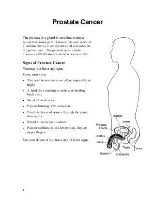 Prostate Cancer

The prostate is a gland in men that makes a
liquid that forms part of semen. Its size is about
2 centimeters by 2 centimeters and is located in
the pelvic area. The prostate uses a male
hormone called testosterone to work normally.

Signs of Prostate Cancer
You may not have any signs.
Some men have:
•   The need to urinate more often, especially at
    night
•   A hard time starting to urinate or holding
    back urine
•   Weak flow of urine
•   Pain or burning with urination
•   Painful release of semen through the penis
    during sex
•   Blood in the urine or semen
•   Pain or stiffness in the lower back, hips or
    upper thighs

See your doctor if you have any of these signs.




1
 