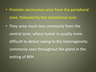 • Prostate carcinomas arise from the peripheral
zone, followed by the transitional zone.
• They arise much less commonly from the
central zone, where tumor is usually more
difficult to detect owing to the heterogeneity
commonly seen throughout the gland in the
setting of BPH
 
