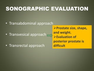 SONOGRAPHIC EVALUATION
• Transabdominal approach
• Transvesical approach
• Transrectal approach
Prostate size, shape,
and weight.
Evaluation of
posterior prostate is
difficult
 