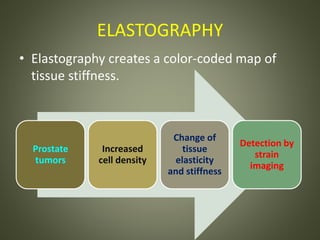 ELASTOGRAPHY
• Elastography creates a color-coded map of
tissue stiffness.
Prostate
tumors
Increased
cell density
Change of
tissue
elasticity
and stiffness
Detection by
strain
imaging
 
