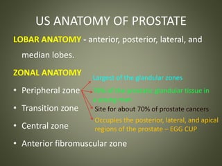 US ANATOMY OF PROSTATE
LOBAR ANATOMY - anterior, posterior, lateral, and
median lobes.
ZONAL ANATOMY
• Peripheral zone
• Transition zone
• Central zone
• Anterior fibromuscular zone
Largest of the glandular zones
70% of the prostatic glandular tissue in
a young man
Site for about 70% of prostate cancers
Occupies the posterior, lateral, and apical
regions of the prostate – EGG CUP
 