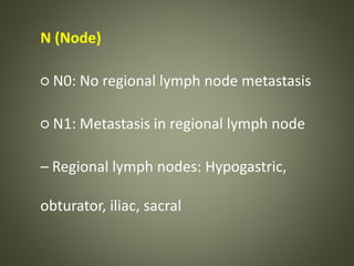 N (Node)
○ N0: No regional lymph node metastasis
○ N1: Metastasis in regional lymph node
– Regional lymph nodes: Hypogastric,
obturator, iliac, sacral
 
