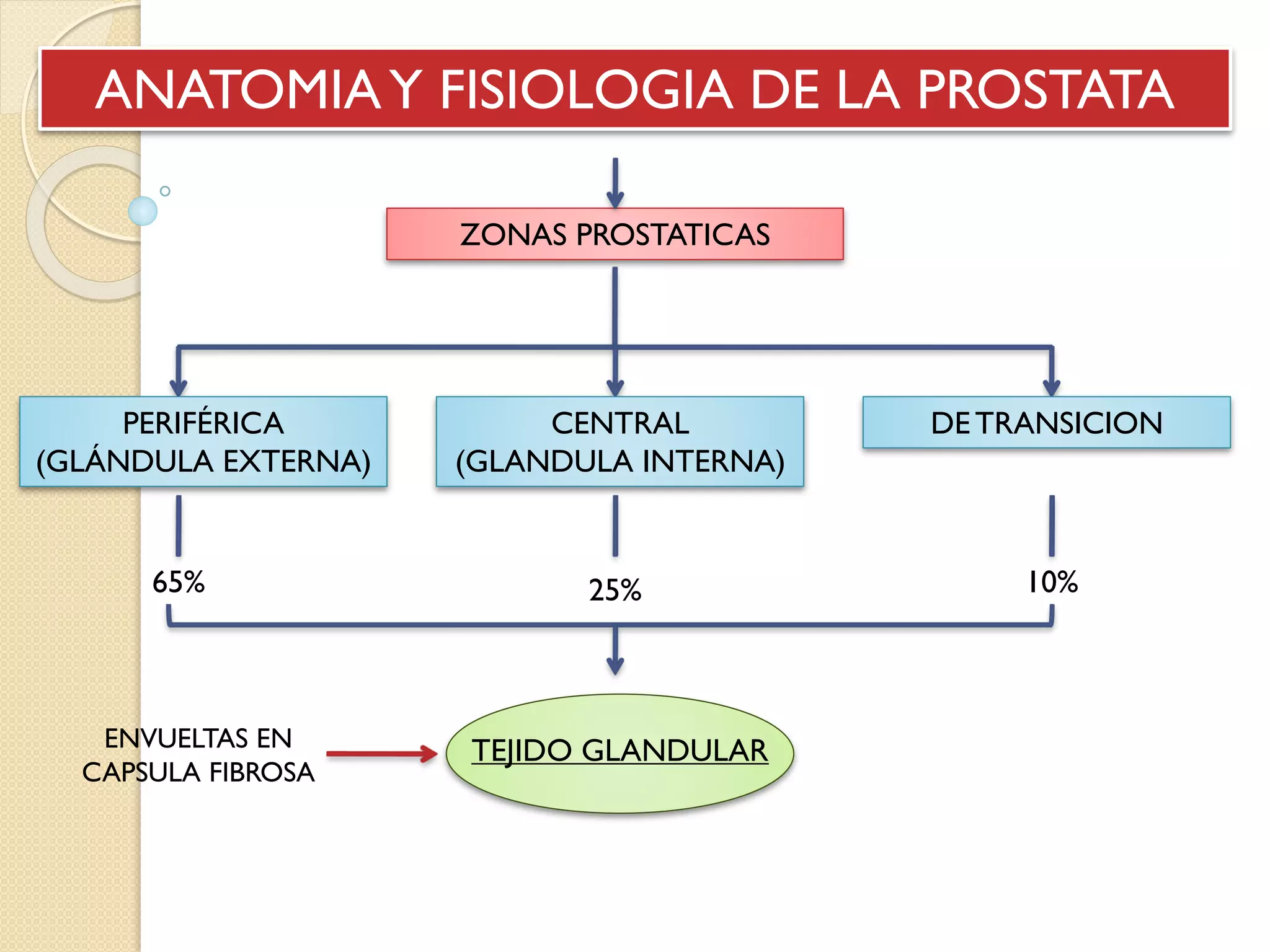 Prostatectima Simple Prostatectomía Suprapubica.pdf