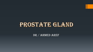 Dr / Ahmed Aref
MOSTAFA AHMED
DR.
 