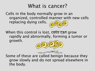 What is cancer? <ul><li>Cells in the body normally grow in an organized, controlled manner with new cells replacing dying ...