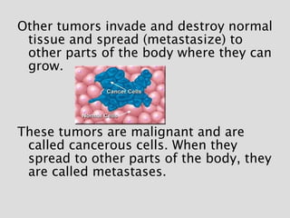 <ul><li>Other tumors invade and destroy normal tissue and spread (metastasize) to other parts of the body where they can g...