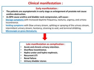 Clinical manifestation :
Early manifestation :
• The patients are asymptomatic in early stage as enlargement of prostate not cause
urethra obstruction.
• As BPH cause urethra and bladder neck compression, will cause :
- Storage symptoms with Increased daytime frequency, nocturia, urgency, and urinary
incontinence.
- Voiding symptoms with Slow urinary stream, splitting or spraying of the urinary stream,
intermittent urinary stream, hesitancy, straining to void, and terminal dribbling.
- Microscopic or gross Hematuria.
Late manifestation as complication :
• Acute and chronic urinary retention.
• Overflow incontinence.
• Hydro-ureter and hydro-nephrosis.
• Recurrent UTI
• Renal failure
• Urinary bladder stones
 