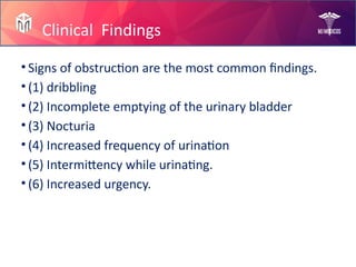 Mam Rabia Rana Prostate Diseases by Mam Rabia!.pptx slides | PPTX
