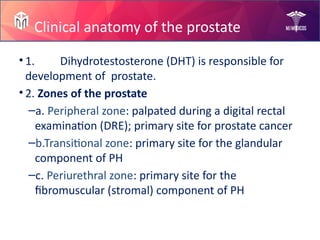 Prostate Diseases by Mam Rabia!.pptx slides | PPTX