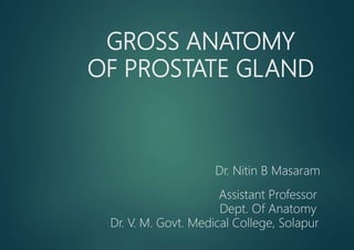 GROSS ANATOMY
OF PROSTATE GLAND
Dr. Nitin B Masaram
Assistant Professor
Dept. Of Anatomy
Dr. V. M. Govt. Medical College, Solapur
 