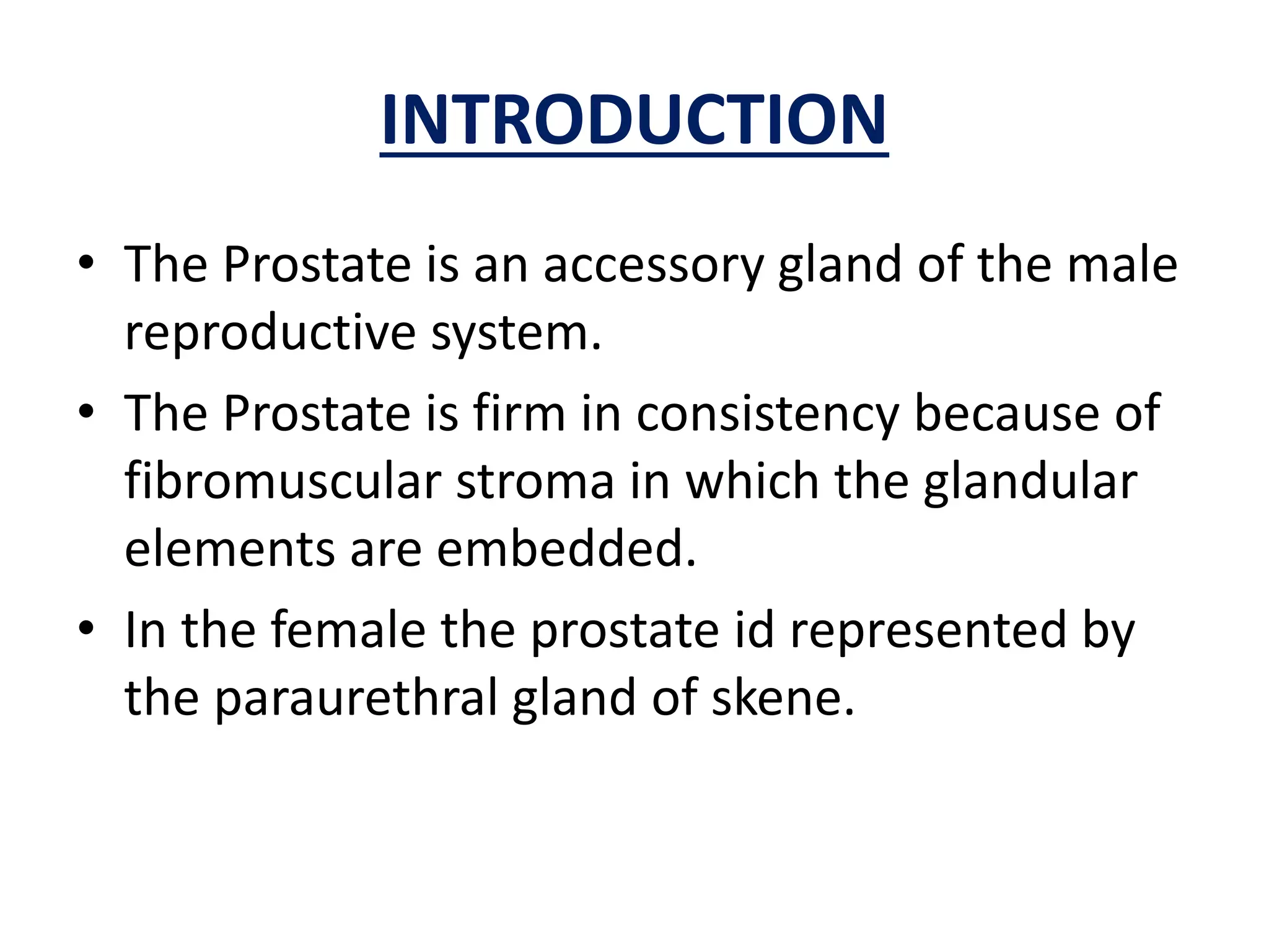 Prostate gland | PPTX