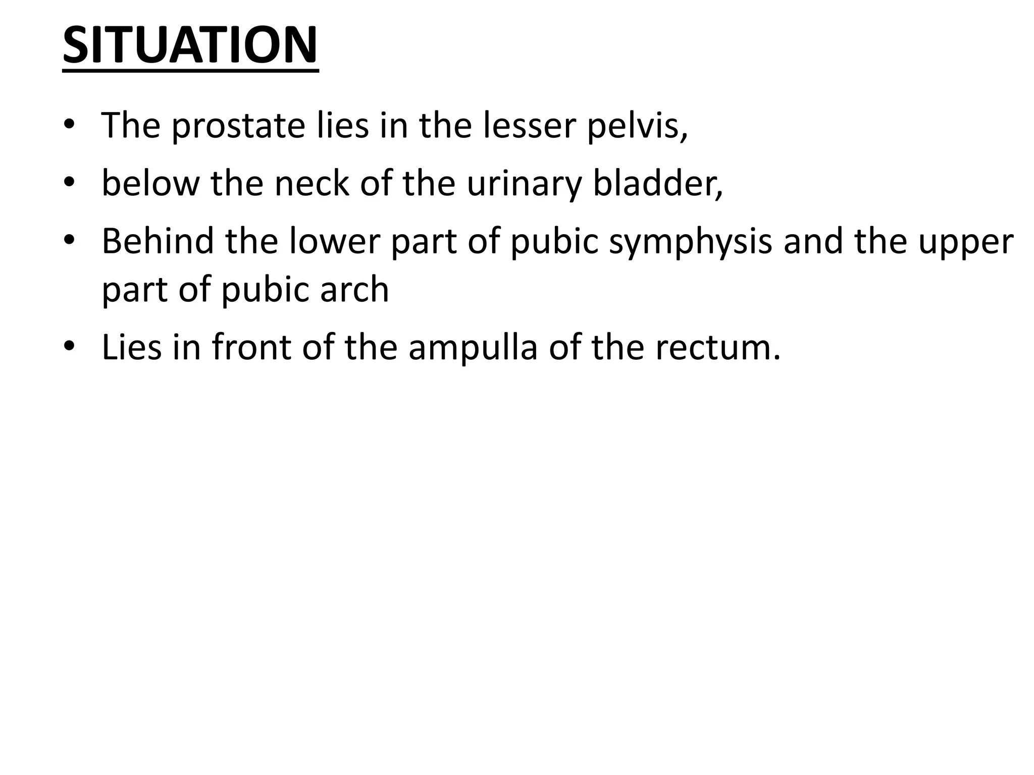 prostate-gland-ppt