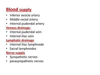 Blood supply
• Inferior vesicle artery
• Middle rectal artery
• Internal pudendal artery
Venous drainage-
• Internal pudendal vein
• Internal iliac vein
Lymphatic drainage
• Internal iliac lymphnode
• Sacral lymphnodes
Nerve supply
• Sympathetic nerves
• parasympathetic nerves
 