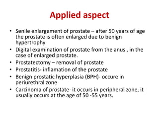 Applied aspect
• Senile enlargement of prostate – after 50 years of age
the prostate is often enlarged due to benign
hypertrophy
• Digital examination of prostate from the anus , in the
case of enlarged prostate.
• Prostatectomy – removal of prostate
• Prostatitis- inflamation of the prostate
• Benign prostatic hyperplasia (BPH)- occure in
periurethral zone
• Carcinoma of prostate- it occurs in peripheral zone, it
usually occurs at the age of 50 -55 years.
 