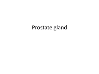 Prostate gland
 