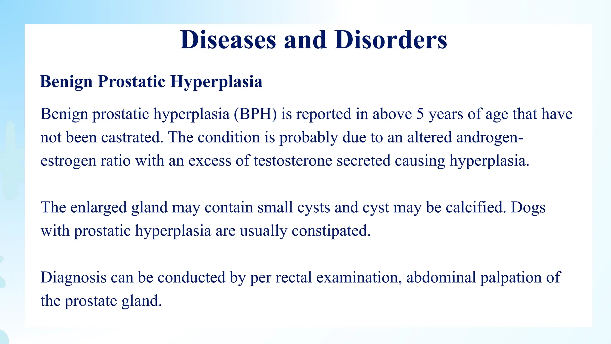 Prostate Gland in Animals: A Comprehensive Overview | PPTX
