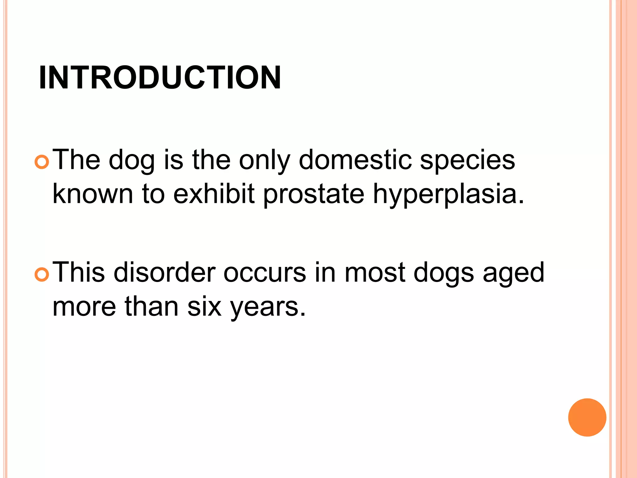 INTRODUCTION
The dog is the only domestic species
known to exhibit prostate hyperplasia.
This disorder occurs in most dogs aged
more than six years.