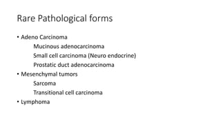 Rare Pathological forms
• Adeno Carcinoma
Mucinous adenocarcinoma
Small cell carcinoma (Neuro endocrine)
Prostatic duct adenocarcinoma
• Mesenchymal tumors
Sarcoma
Transitional cell carcinoma
• Lymphoma
 