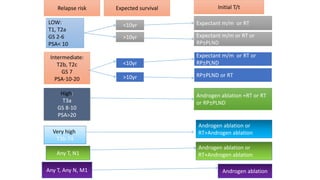 Relapse risk Expected survival Initial T/t
LOW:
T1, T2a
GS 2-6
PSA< 10
<10yr
Very high:
T3b-T4
Intermediate:
T2b, T2c
GS 7
PSA-10-20
Expectant m/m or RT or
RP±PLND
High:
T3a
GS 8-10
PSA>20
>10yr
Expectant m/m or RT
<10yr
>10yr
Expectant m/m or RT or
RP±PLND
RP±PLND or RT
Androgen ablation +RT or RT
or RP±PLND
Androgen ablation or
RT+Androgen ablation
Any T, N1
Any T, Any N, M1 Androgen ablation
Androgen ablation or
RT+Androgen ablation
 