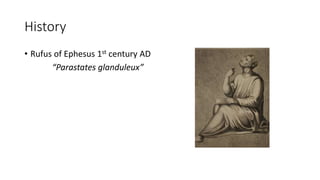 History
• Rufus of Ephesus 1st century AD
“Parastates glanduleux”
 