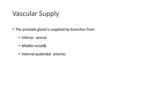 Vascular Supply
• The prostate gland is supplied by branches from
• Inferior vesical
• Middle rectal&
• Internal pudendal arteries
 
