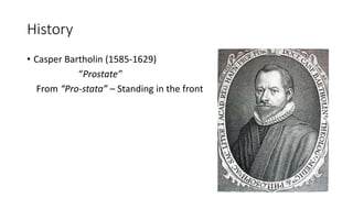 History
• Casper Bartholin (1585-1629)
“Prostate”
From “Pro-stata” – Standing in the front
 