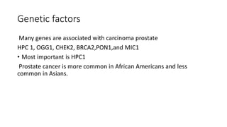 Genetic factors
Many genes are associated with carcinoma prostate
HPC 1, OGG1, CHEK2, BRCA2,PON1,and MIC1
• Most important is HPC1
Prostate cancer is more common in African Americans and less
common in Asians.
 