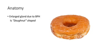 Anatomy
• Enlarged gland due to BPH
Is “Doughnut” shaped
 